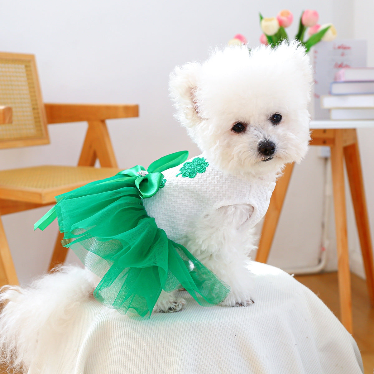 Personalisiertes Glücks-St.-Patricks-Day-Kleid für Haustiere | inCloth11