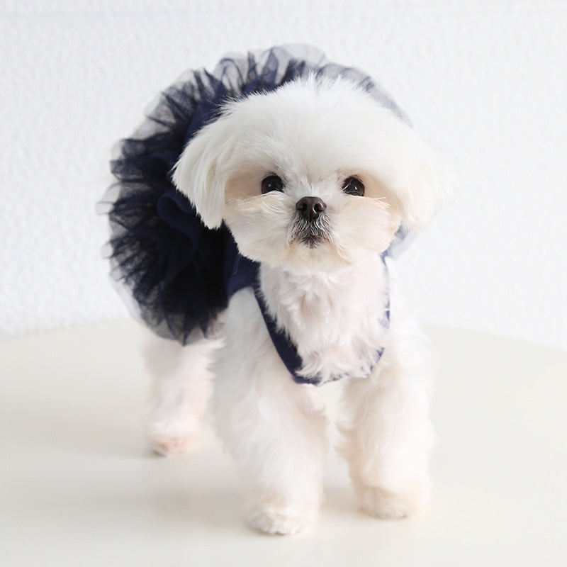 Robe Tutu Moelleuse Personnalisée avec Nom pour Animal de Compagnie | inCloth40