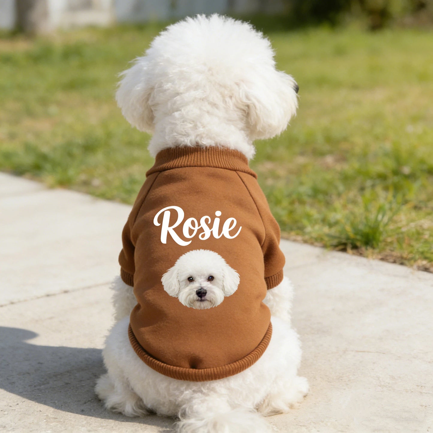 Sweat-shirt personnalisé pour animaux de compagnie avec photo | inCloth26