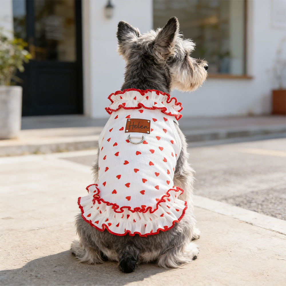 Personalized Leather Patch Name Pet Dress | inCloth32