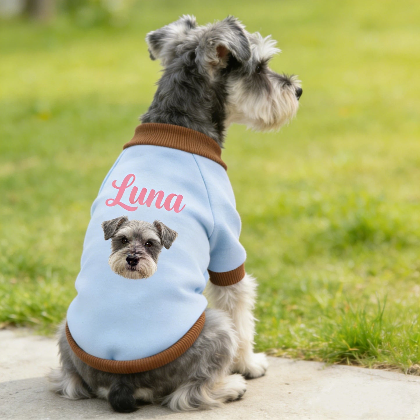 Sweat-shirt personnalisé pour animaux de compagnie avec photo | inCloth26