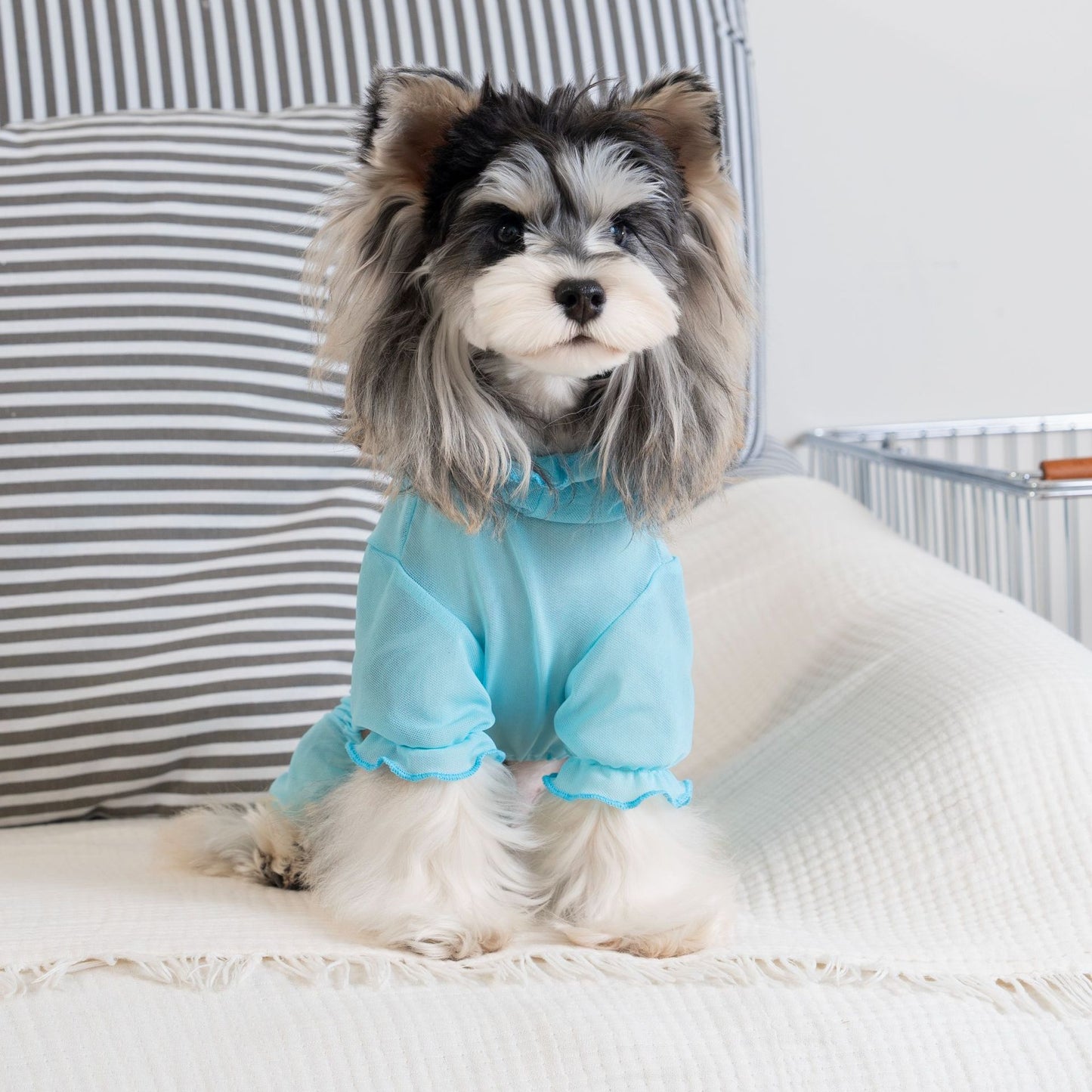 Personalized Name Pet Breathable Sun & Mosquito Guard Onesie | inCloth71