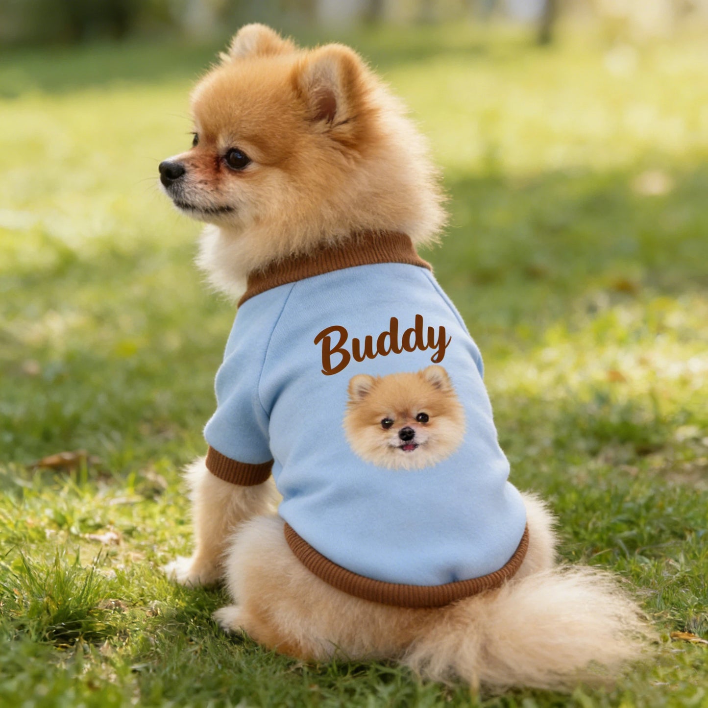 Sweat-shirt personnalisé pour animaux de compagnie avec photo | inCloth26