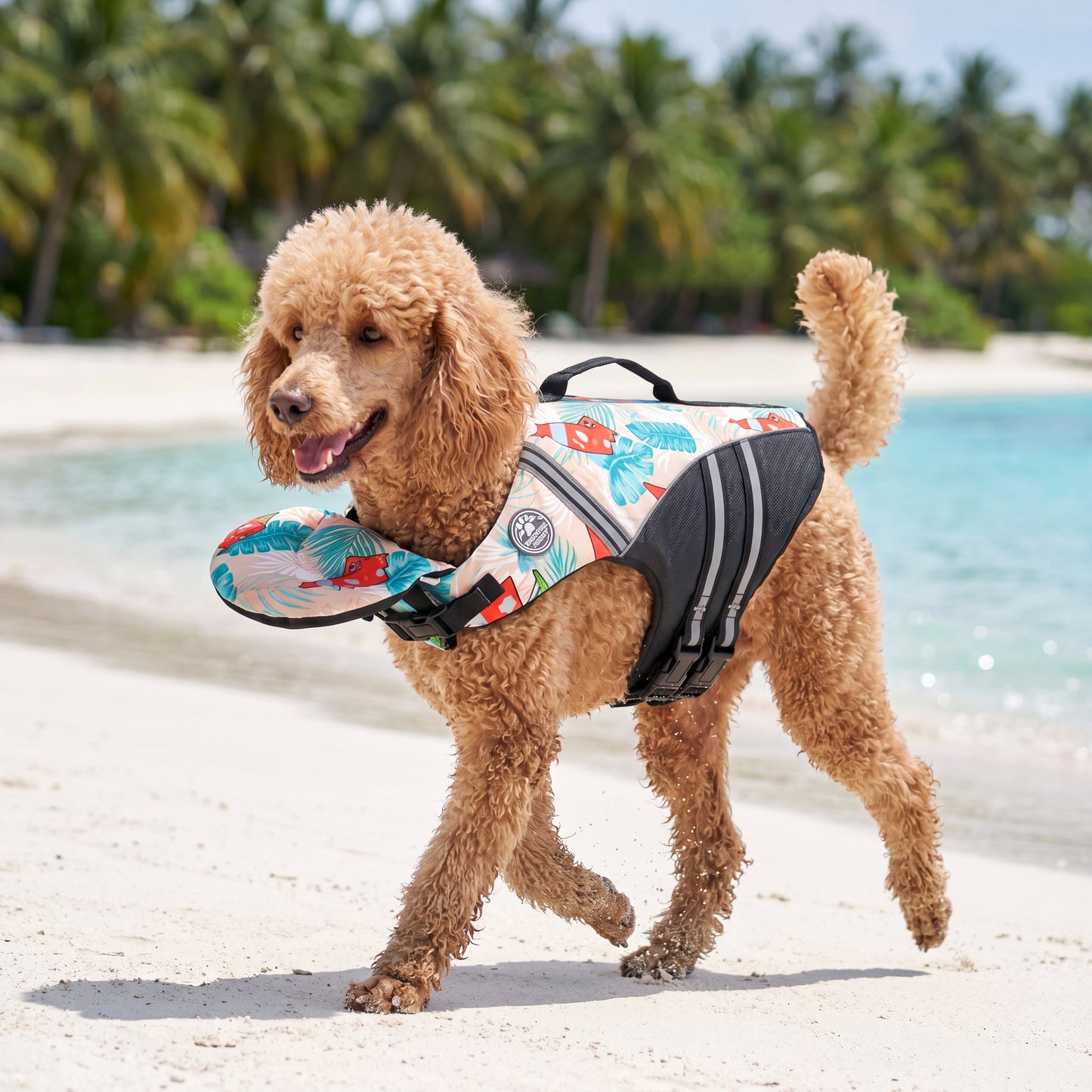 Gilet de sauvetage pour chien avec appui-tête intégré Floatyy