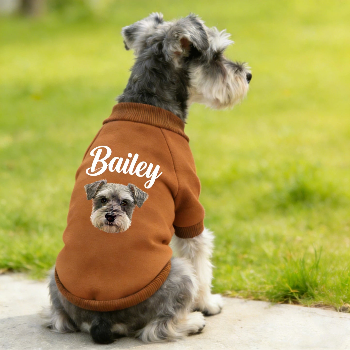 Sweat-shirt personnalisé pour animaux de compagnie avec photo | inCloth26