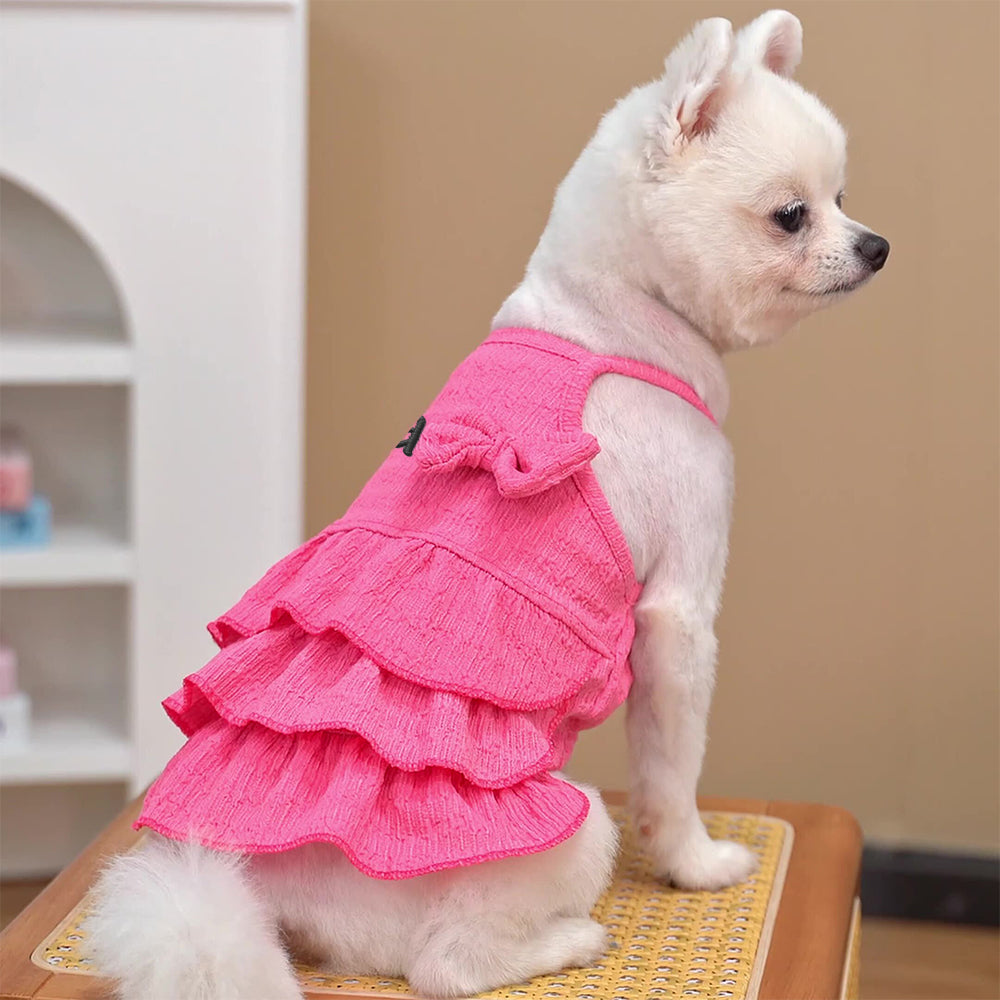 Personalisiertes besticktes Namens-Haustierkleid Prinzessin | inCloth41