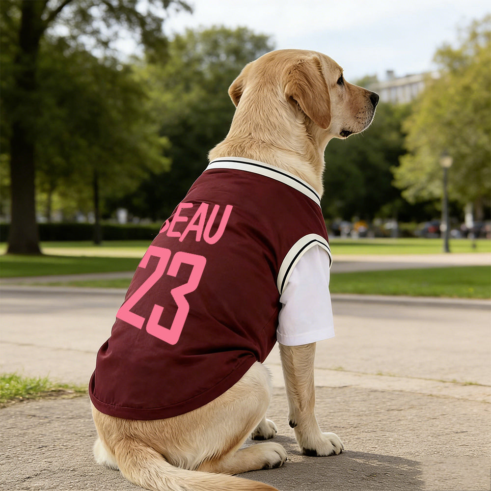 T-shirt personnalisé respirant pour animaux de compagnie avec nom et numéro | inCloth62