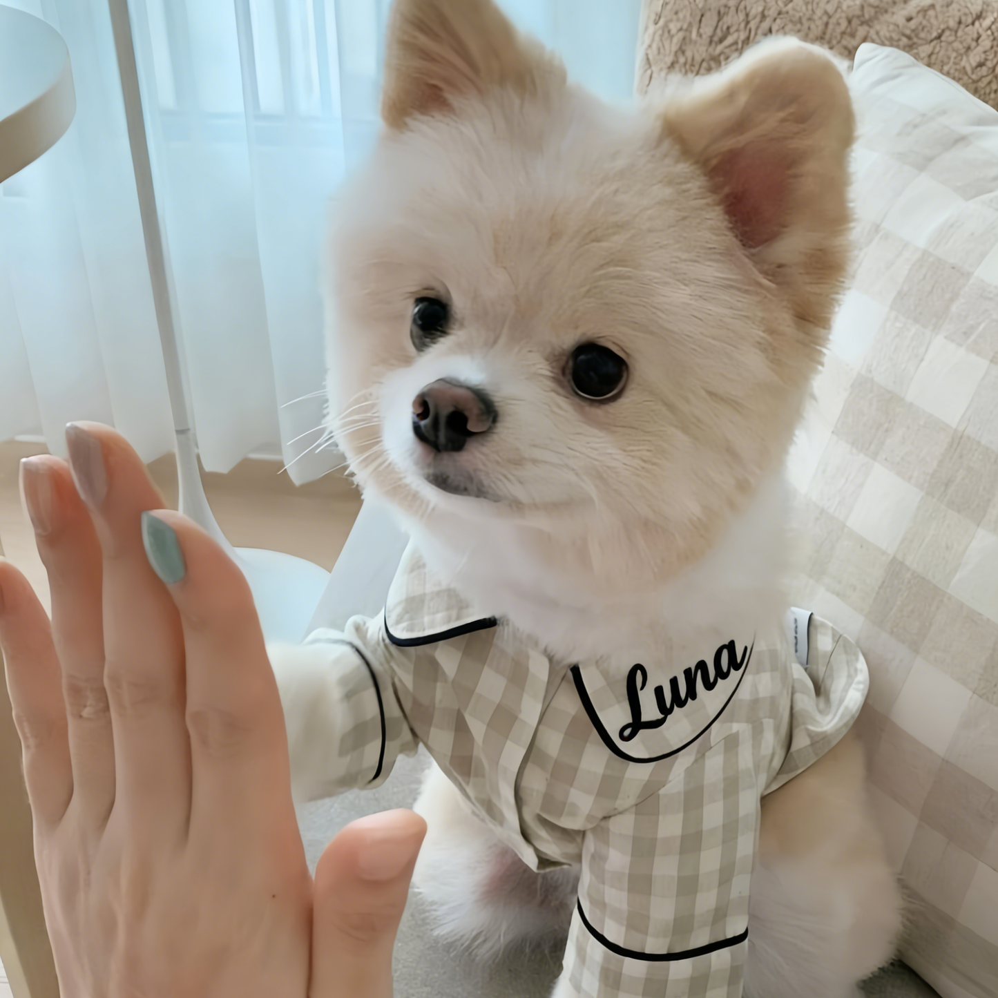 Personalisierter bestickter Name Baumwoll-Leinen Karierter Hunde-Schlafanzug | inCloth70