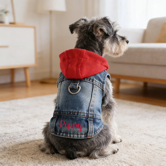 Personalisierte Denim Kapuzenjacke für Haustiere | inCloth60