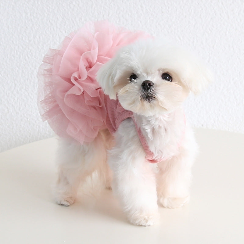 Robe Tutu Moelleuse Personnalisée avec Nom pour Animal de Compagnie | inCloth40
