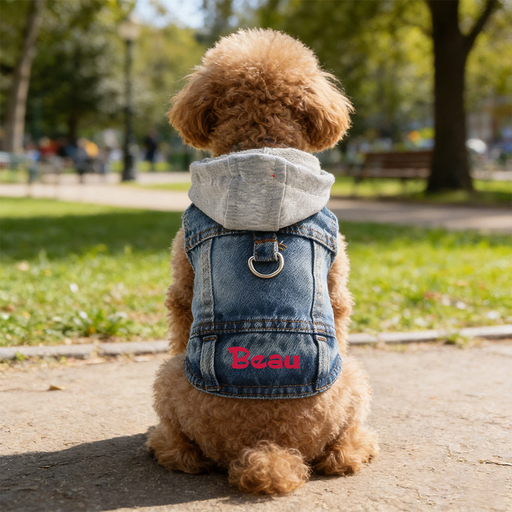 Veste à capuche en jean personnalisée pour animaux de compagnie | inCloth60