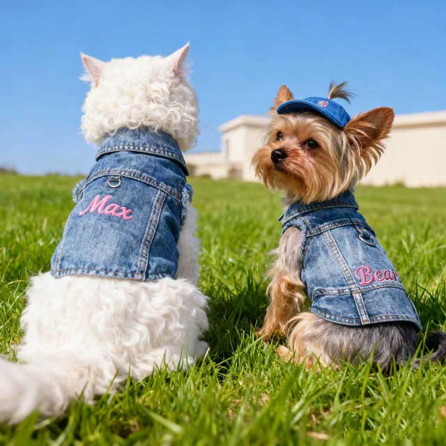 Gilet en jean personnalisé brodé avec nom pour animaux de compagnie | inCloth63