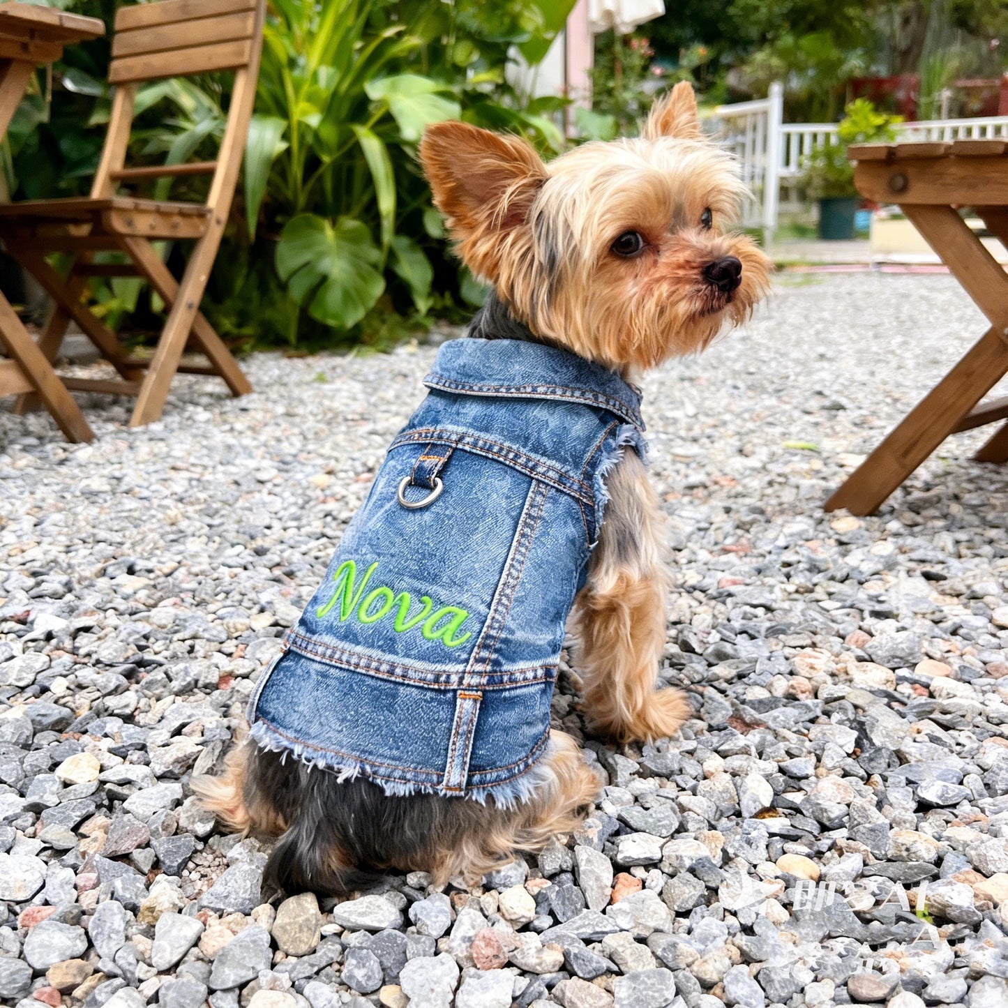Gilet en jean personnalisé brodé avec nom pour animaux de compagnie | inCloth63