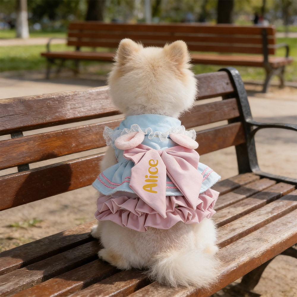 Robe Nœud Personnalisée pour Animaux | inPet27
