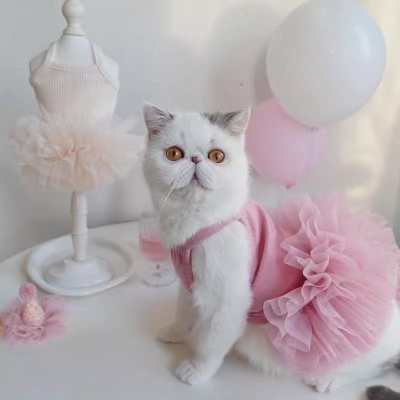 Robe Tutu Moelleuse Personnalisée avec Nom pour Animal de Compagnie | inCloth40