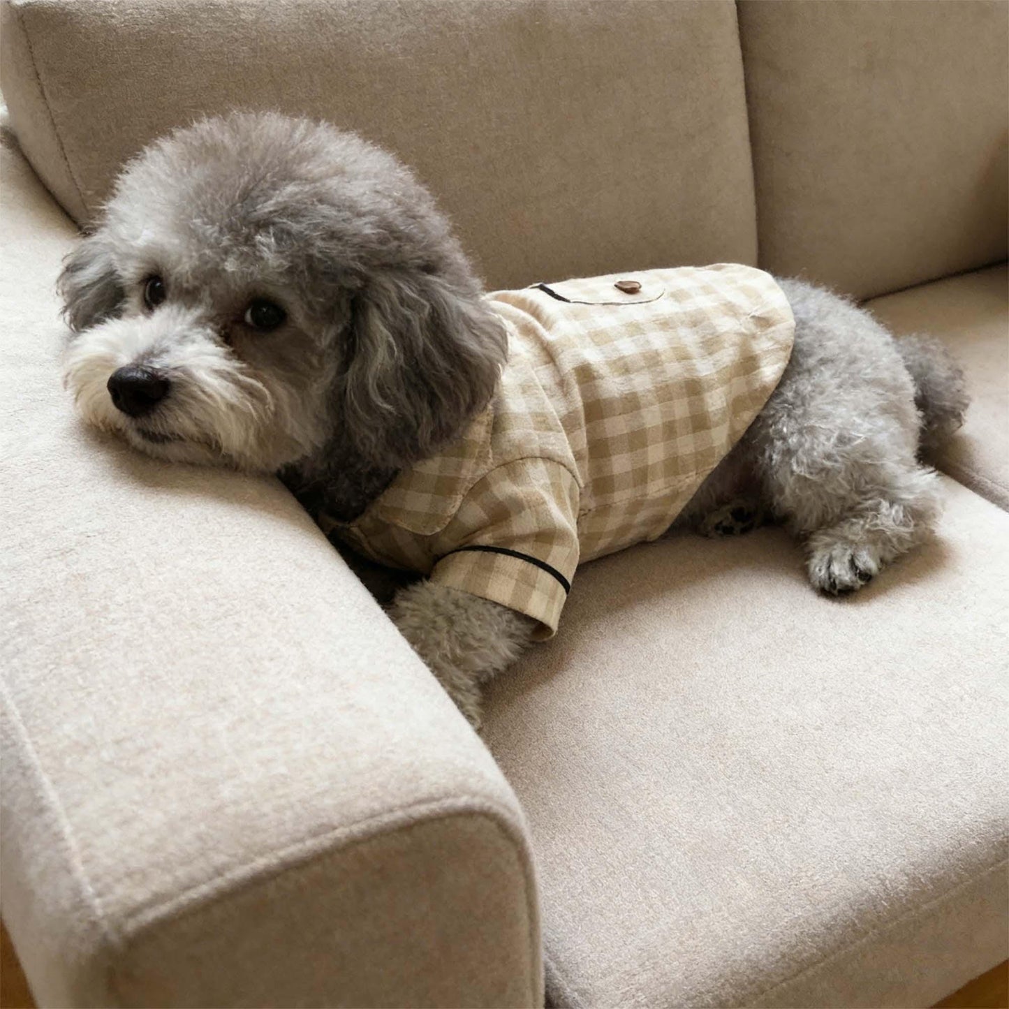 Personalisierter bestickter Name Baumwoll-Leinen Karierter Hunde-Schlafanzug | inCloth70