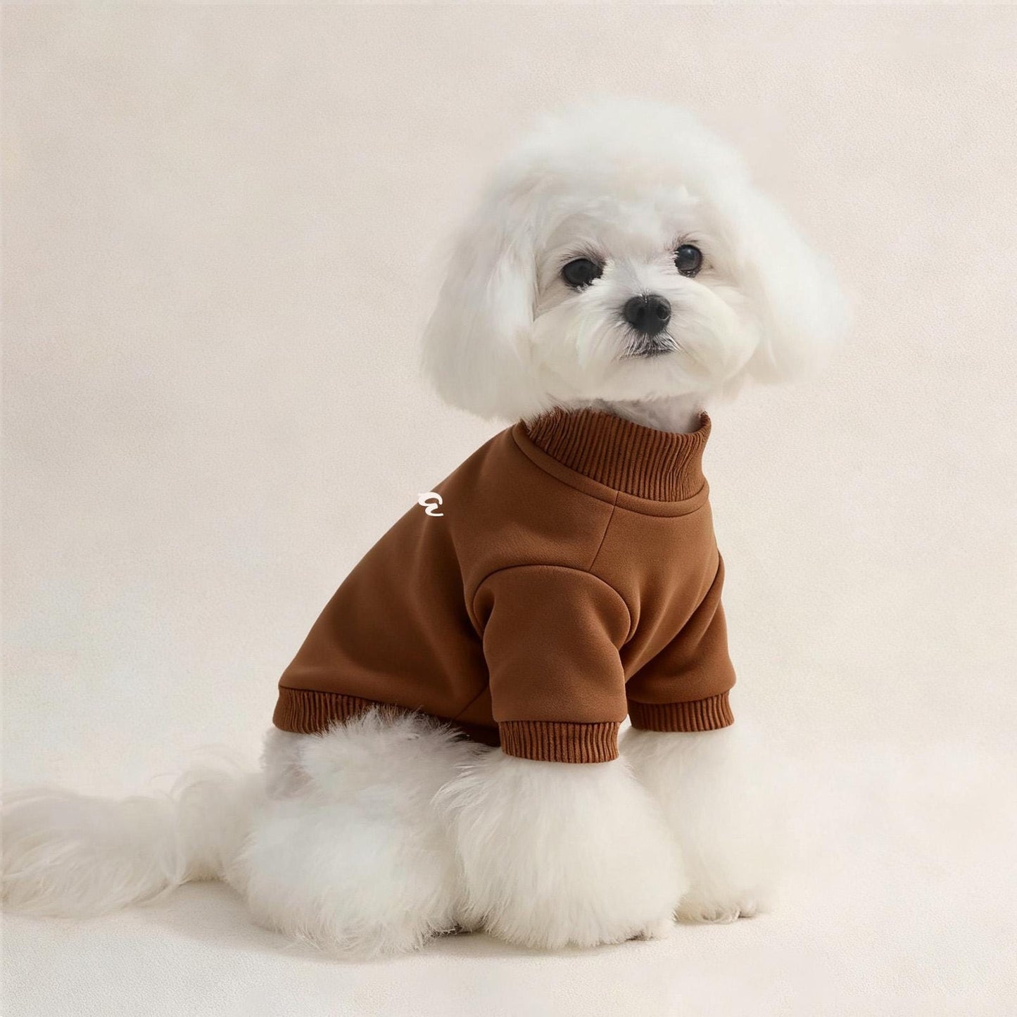 Sweat-shirt personnalisé pour animaux de compagnie avec photo | inCloth26