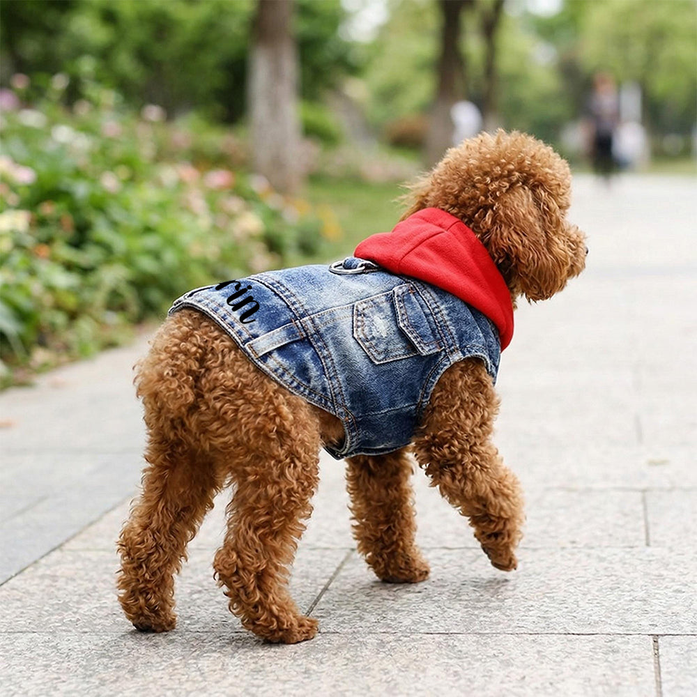 Veste à capuche en jean personnalisée pour animaux de compagnie | inCloth60