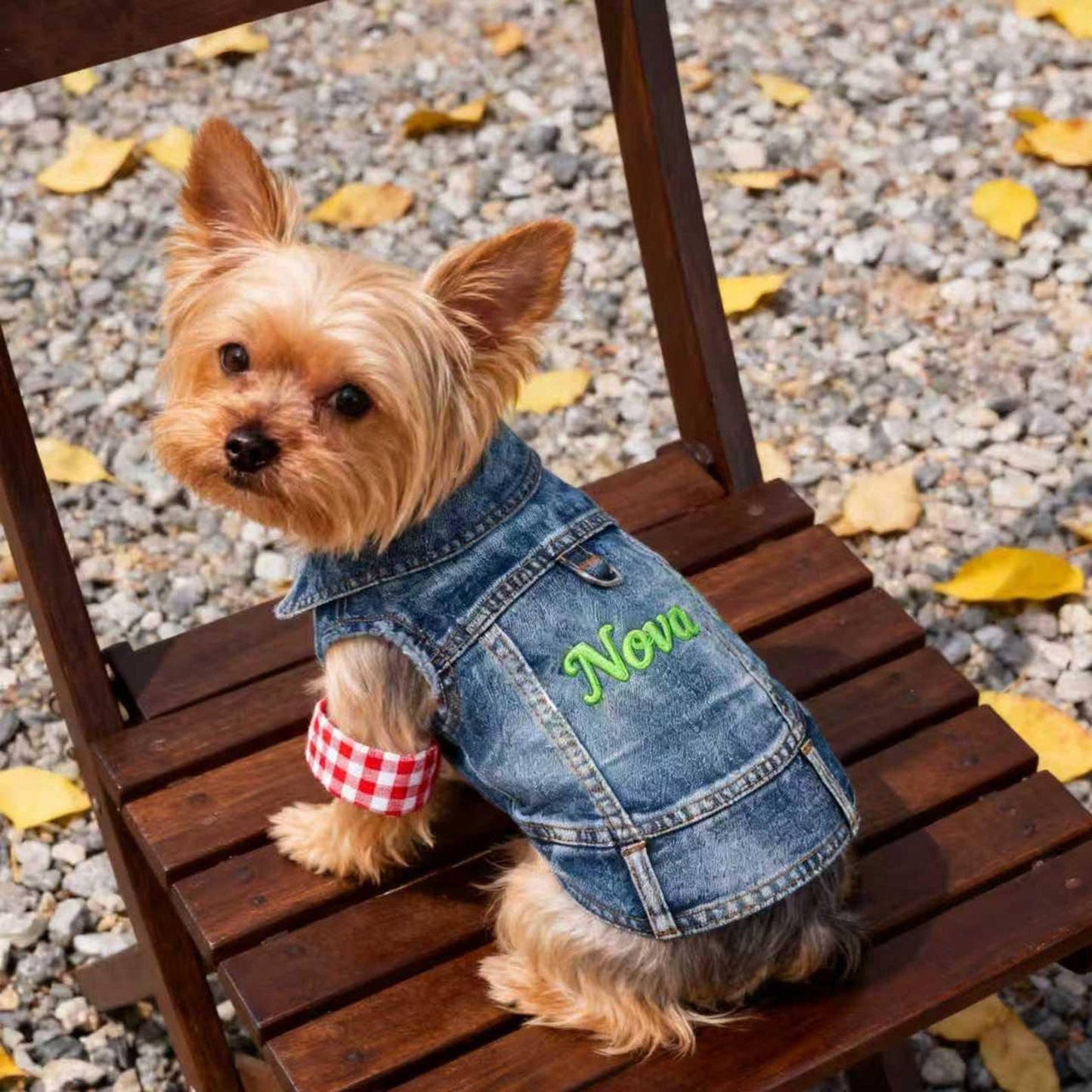 Gilet en jean personnalisé brodé avec nom pour animaux de compagnie | inCloth63