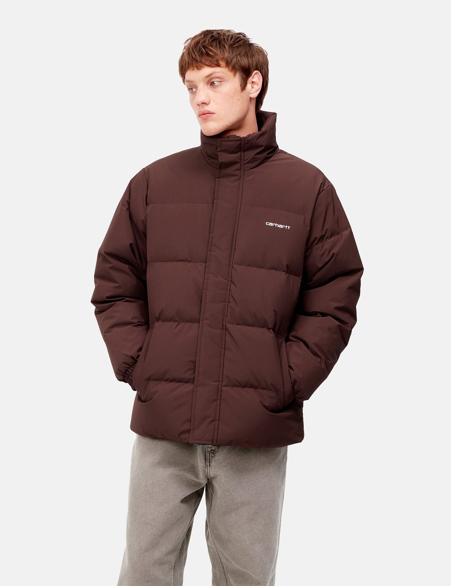 Veste Danville - Ale Marron/Blanc