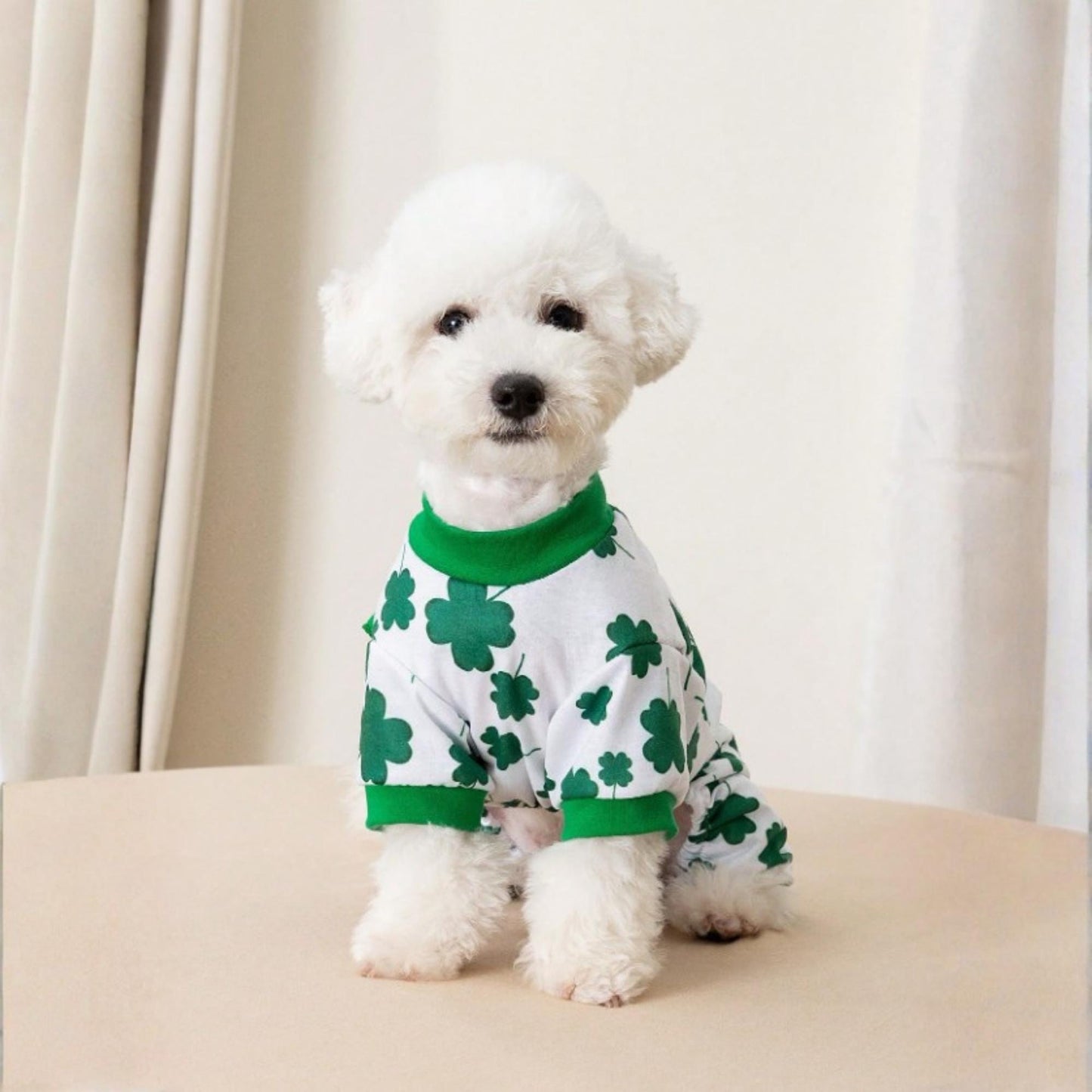 Personalized Pet Lucky St. Patrick's Day Jumpsuit | inCloth10