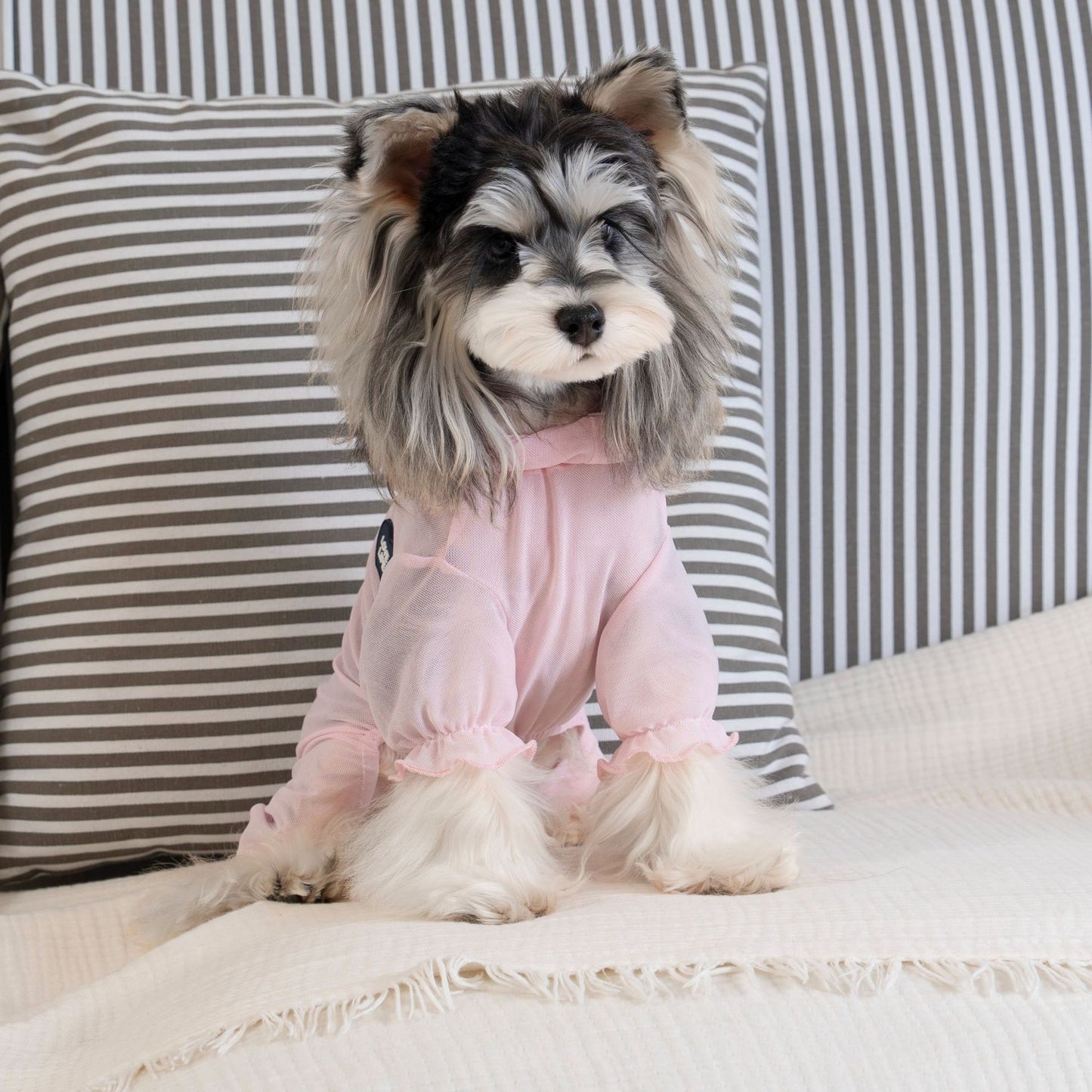 Personalized Name Pet Breathable Sun & Mosquito Guard Onesie | inCloth71