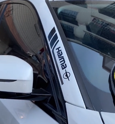 Hot Sale 🔥50% RABATT🔥Personalisierte Sportwagen-Aufkleber🎉4 Stk.🎉