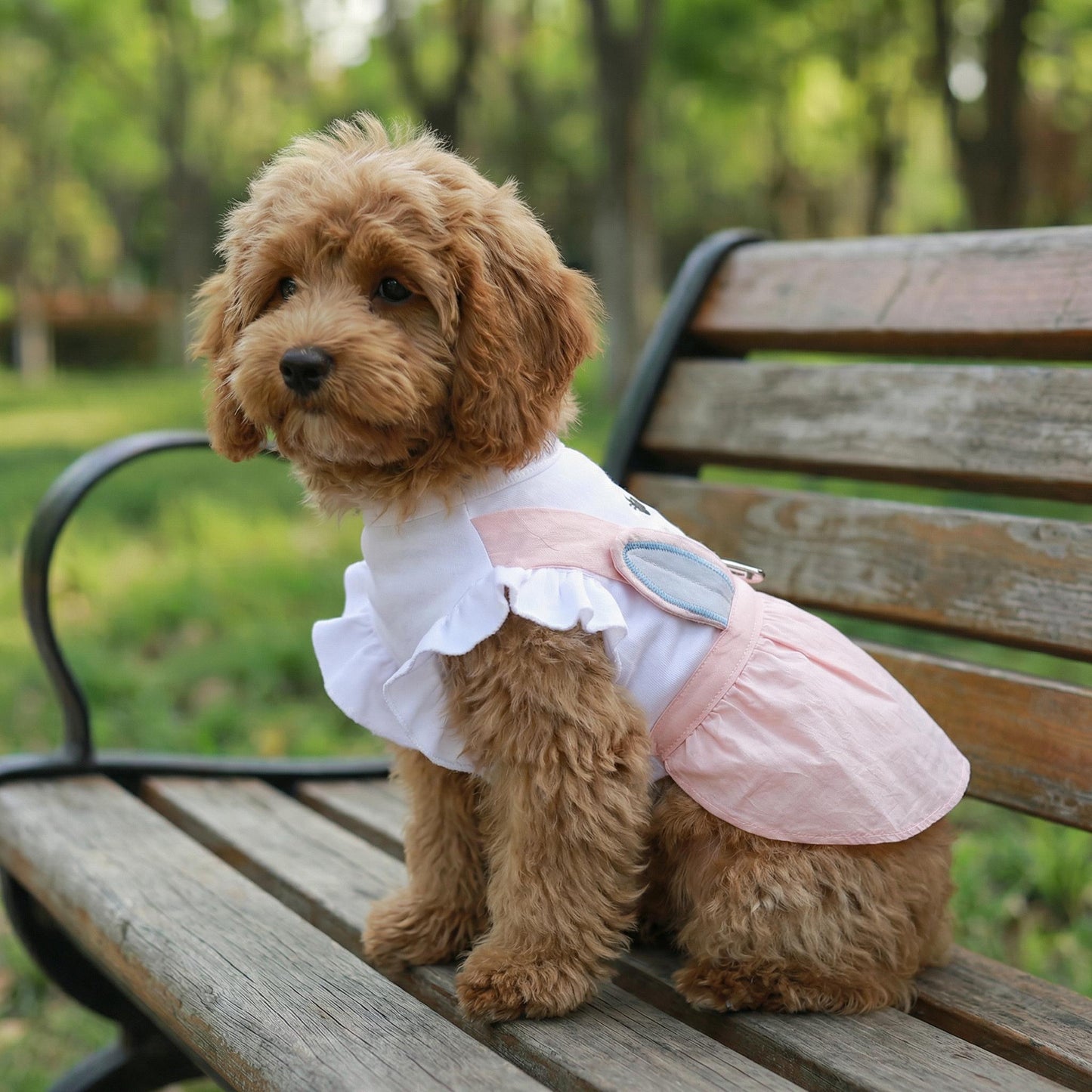 Personalized Name Easter Pet Bunny Princess Outfit | inCloth33