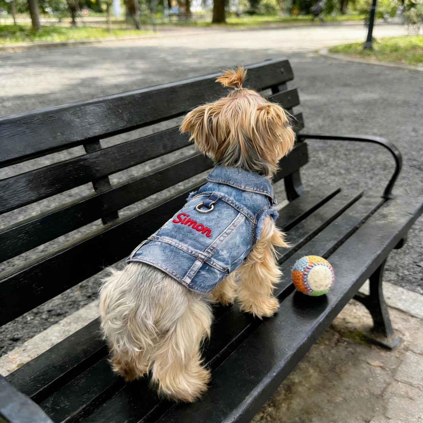 Gilet en jean personnalisé brodé avec nom pour animaux de compagnie | inCloth63