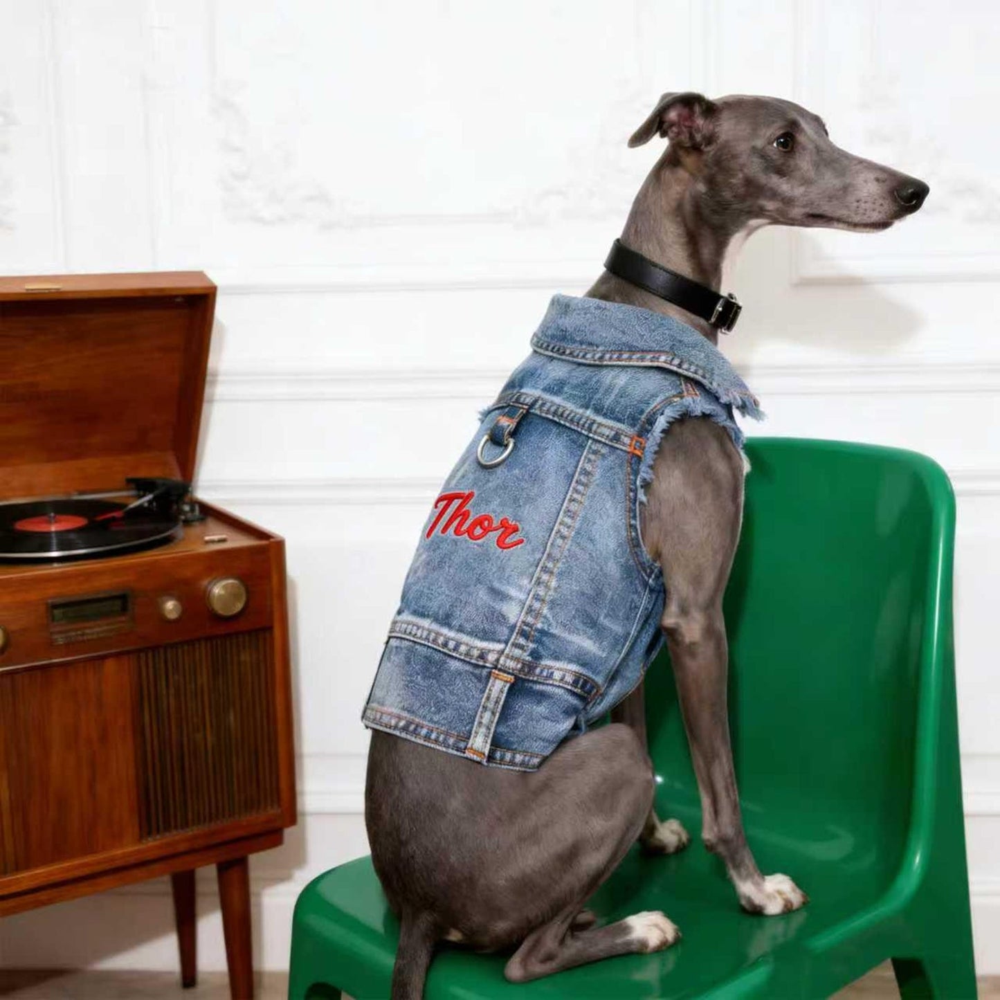 Gilet en jean personnalisé brodé avec nom pour animaux de compagnie | inCloth63