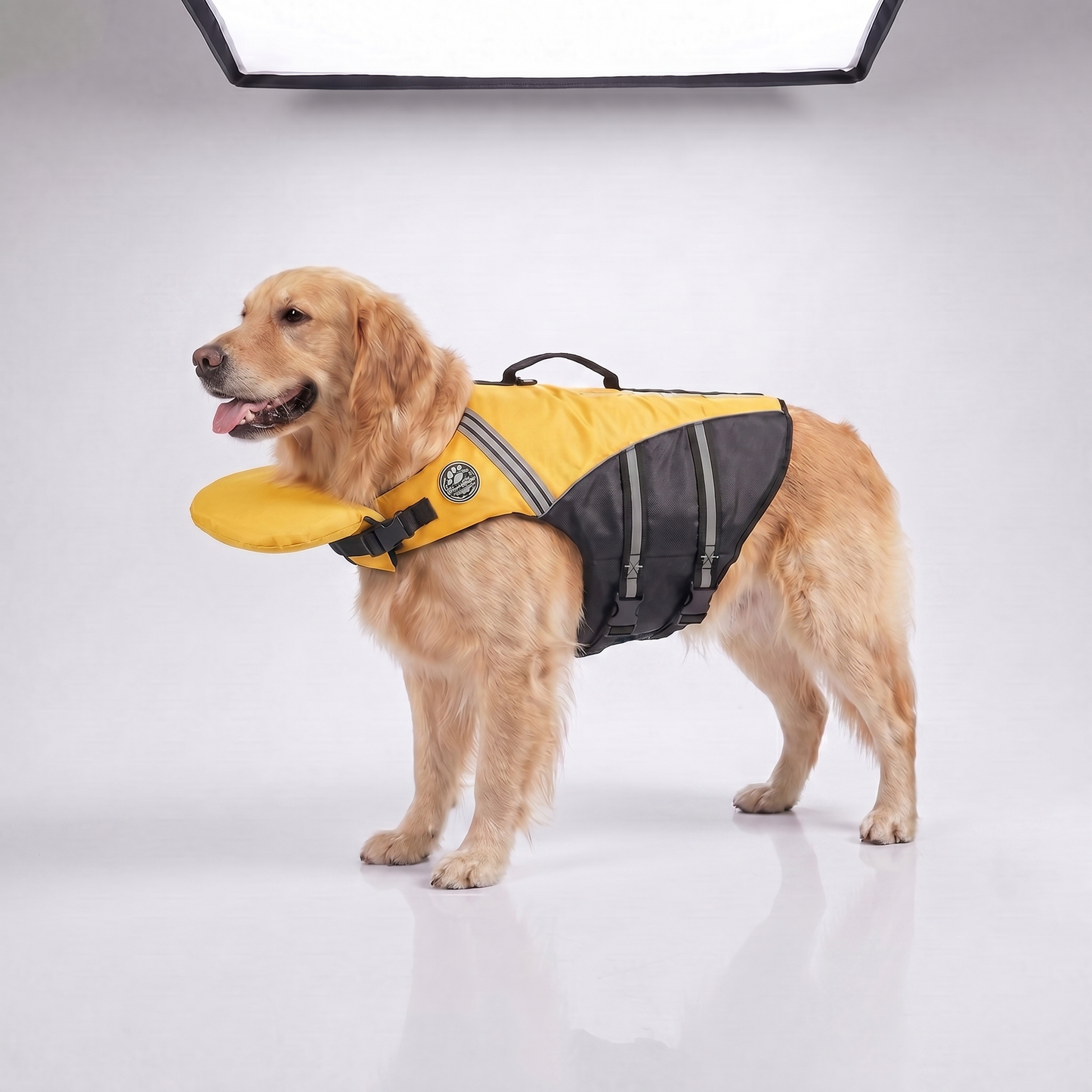 Gilet de sauvetage pour chien avec appui-tête intégré Floatyy