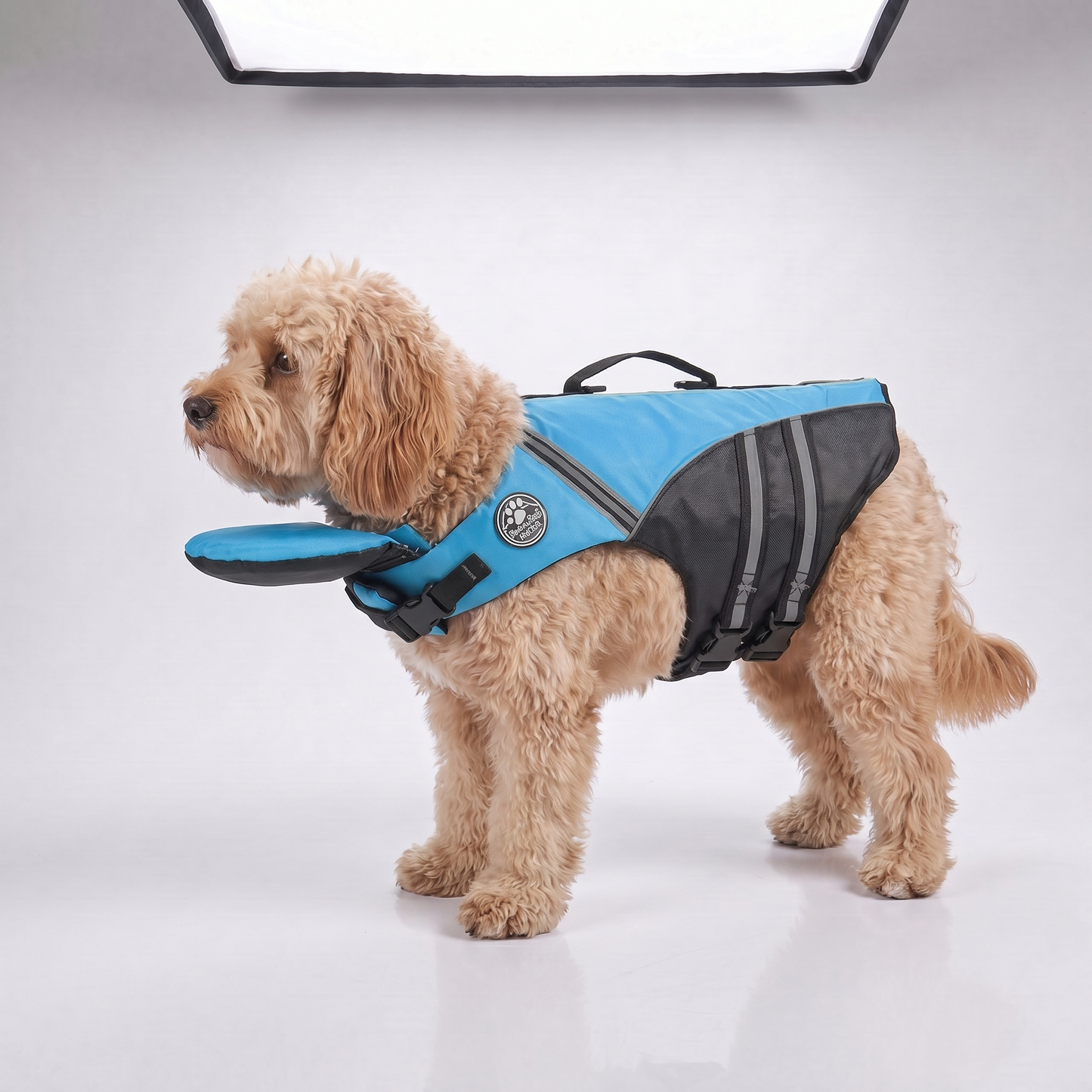 Gilet de sauvetage pour chien avec appui-tête intégré Floatyy