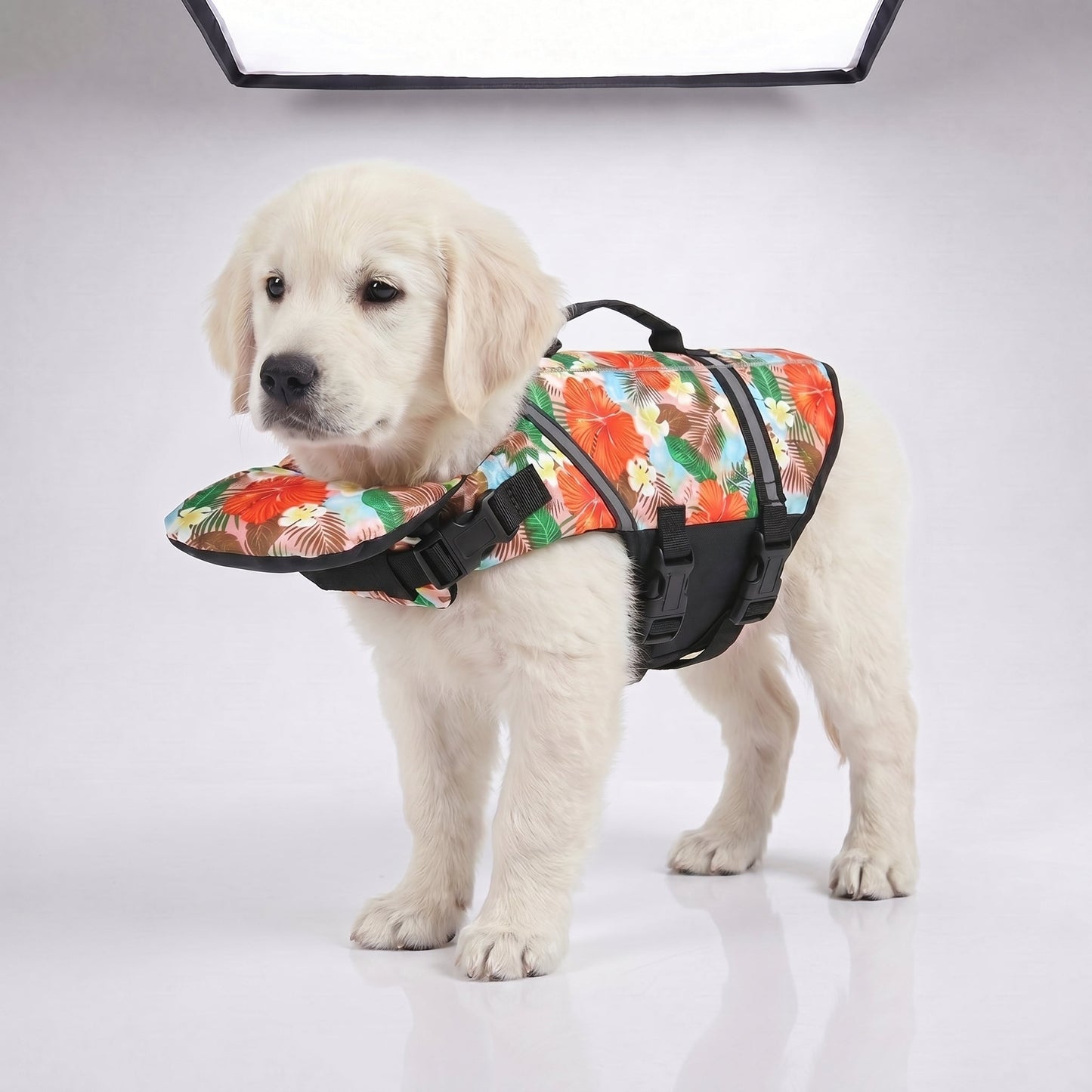 Gilet de sauvetage pour chien avec appui-tête intégré Floatyy