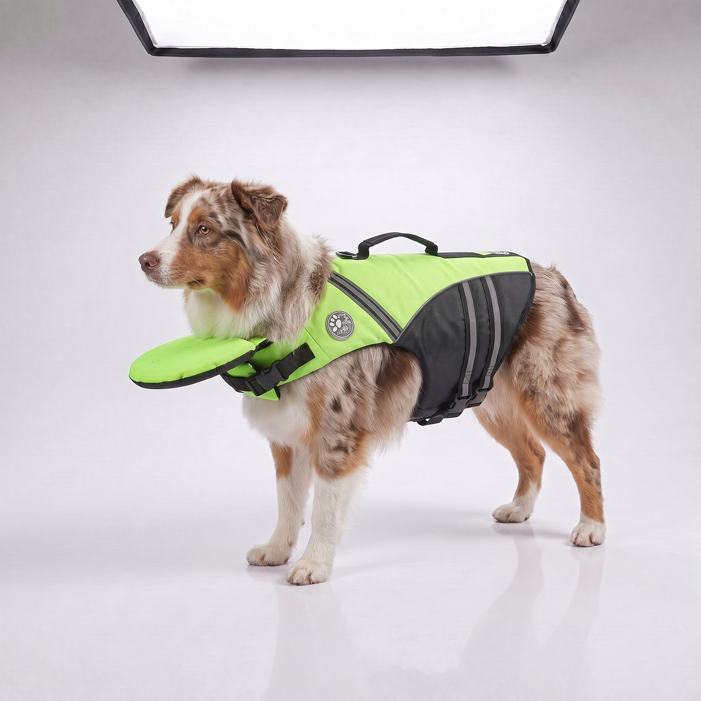 Gilet de sauvetage pour chien avec appui-tête intégré Floatyy