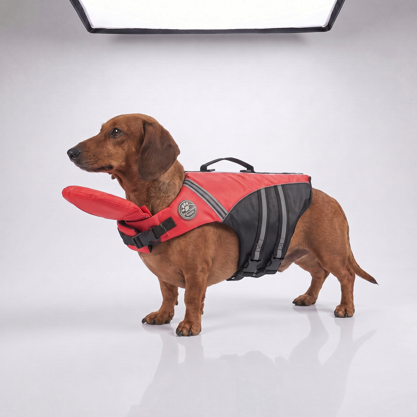 Gilet de sauvetage pour chien avec appui-tête intégré Floatyy