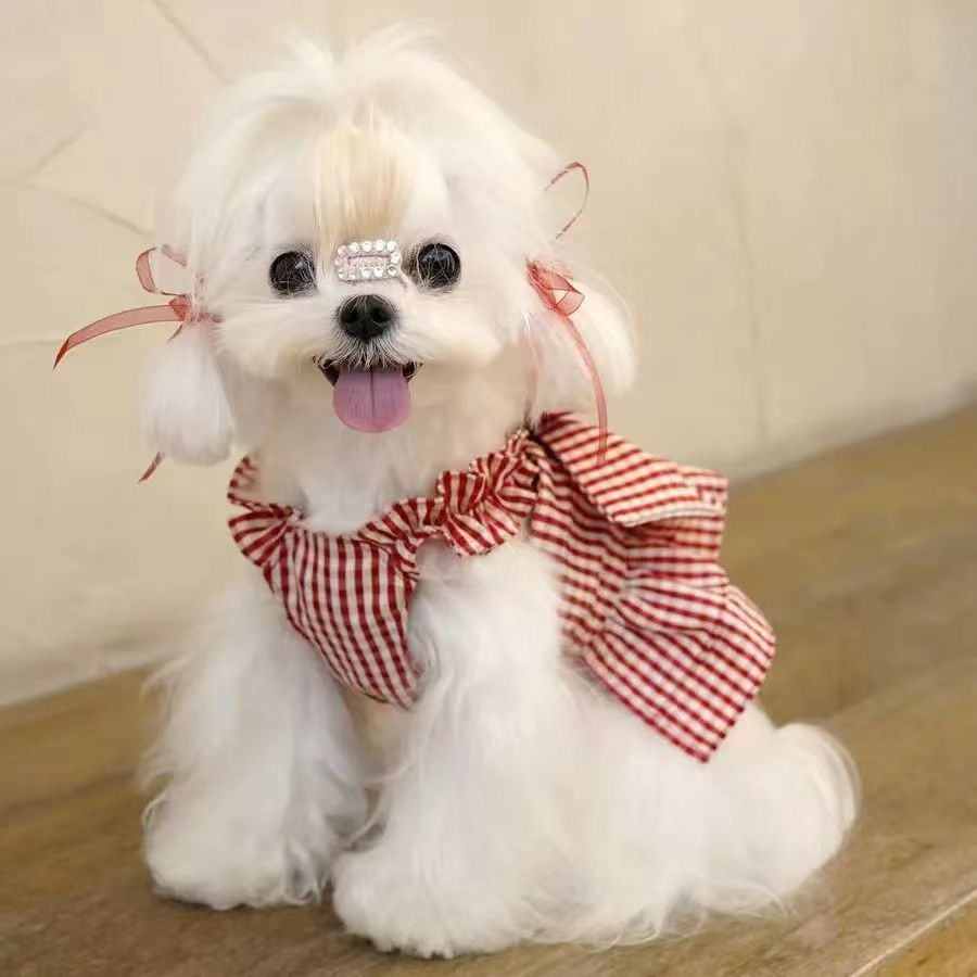 Robe personnalisée Saint-Valentin pour animaux de compagnie | inCloth02