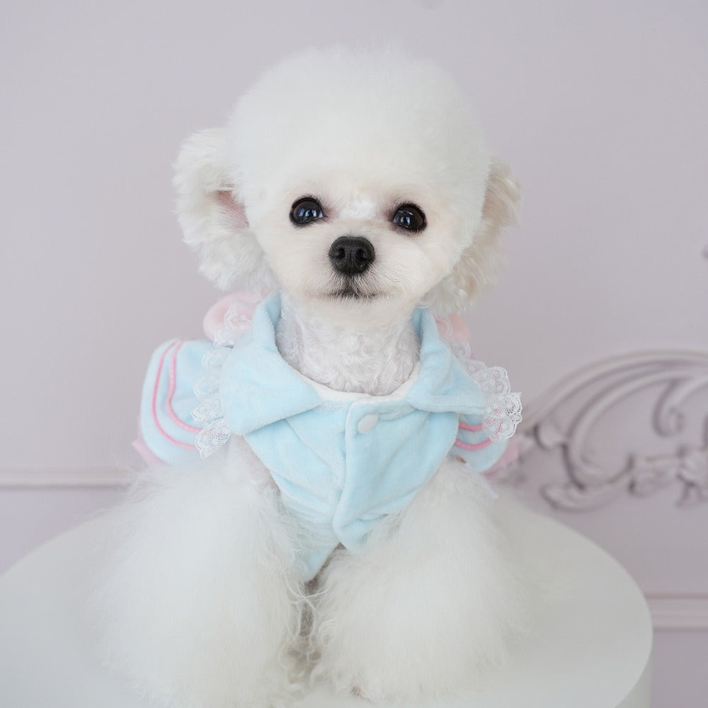 Robe Nœud Personnalisée pour Animaux | inPet27
